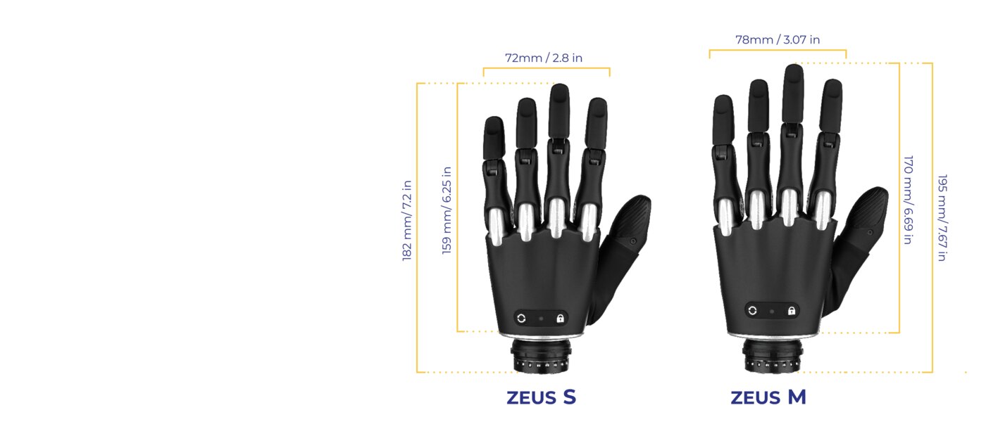 Wymiary dłoni bionicznej Zeus S 159 mm i Zeus M 170 mm z szerokością śródręcza